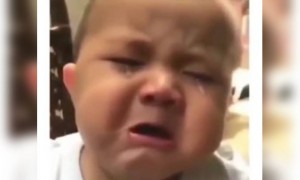 যখন শুনলাম লকডাউন আরো বেড়ে গেছে