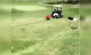 গল্ফ খেলতে গিয়ে কি হলো দেখুন