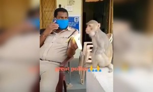 এই পুলিশ অফিসারকে ভগবান খুব আশীর্বাদ করুক