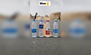 কি সুন্দর ভিডিও করেছে দেখুন