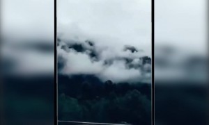 দেখুন সুন্দর দৃশ্য মানালি থেকে