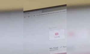 এমন কি করলে আপনার পোষা কুকুর আপনাকে ভালোবাসবে?