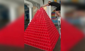 কয়েক হাজার কাপের পিরামিড বানাতে গিয়ে কি হলো দেখুন