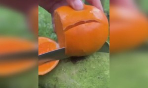 কখনো এই আকারে কমলা লেবু কেটেছেন?