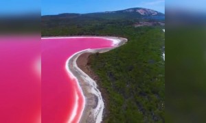 দেখুন অস্ট্রেলিয়ার বিখ্যাত পিঙ্ক লেক