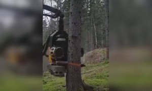 এরকম মারাত্মক গাছ কাটার মেশিন আগে দেখেছেন?