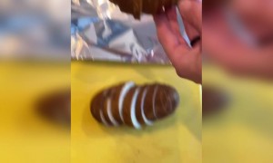 আলু দিয়ে বানিয়ে ফেলুন একটি সুস্বাদু রেসিপি