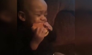 লকডাউন শেষ হওয়ার পর যেদিন প্রথম বাইরের খাবার পাওয়া যাবে