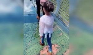 এরকম ব্রিজে চড়বেন কি?