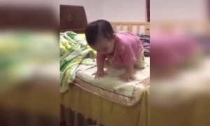 এই বাচ্চার মাথায় কত বুদ্ধি দেখুন