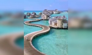 আপনি কি মালদ্বীপের এই সুন্দর হোটেলে যাবেন?