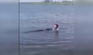 কুমিরের সাথে বল ডান্স?