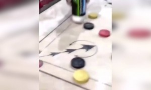 ক্যারাম বোর্ডে এভাবে পাউডার দেওয়া যায় জানতাম না