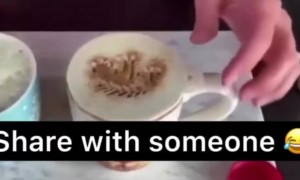 কি চিনতে পারছেন ?