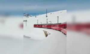 সুইজারল্যান্ডে ট্রেন চড়ার ইচ্ছে আছে কি?