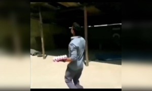 একটা ডিম বাঁচাতে গিয়ে কি হলো দেখুন