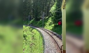 সুইজারল্যান্ডে ট্রেন চড়ার এক আলাদাই অনুভূতি