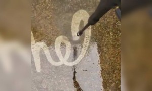 এভাবে পেন্ট করে লেখা হয় দেখুন