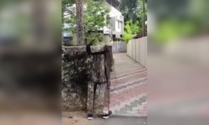 লকডাউনে এভাবে বেরোচ্ছে কিছু লোক