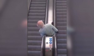 এটা জীবনে একবার করার ইচ্ছে আছে