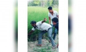 এটা কি সাপ না বেল্ট?