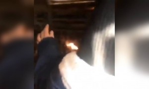 লাইভ পারফরমেন্স কি মানুষ দেখতে এসেছে না মুরগি?