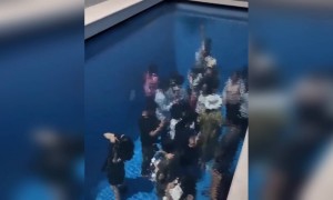 এটা কিরকম সুইমিং পুল?