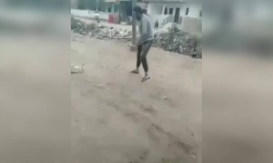 কুকুরদের বিরক্ত করলে এরকমই হওয়ার কথা