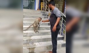 ভালো করতে গিয়ে কি হলো দেখুন