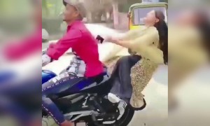 মেয়েটা বাইক থেকে পড়ে গেল কিভাবে দেখুন