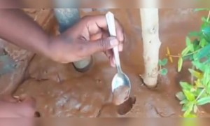 এটা কি চকলেট নাকি অন্য কিছু?