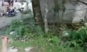 এটা দেখে আপনার খুব হাসি পাবে