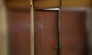 চা প্রেমী কাকুকে দেখা গেল আরেকবার