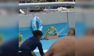 ওয়ালরাসকে ব্যায়াম করতে দেখুন