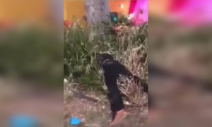 যখন আপনার বন্ধু বেশি মদ খেয়ে ফেলে