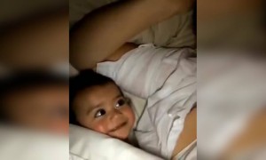 বাচ্চাটা মায়ের কাছে কি খুশি দেখুন