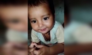 গেন্দা ফুল গান এর থেকে বেশি কিউট কখনো লাগেনি