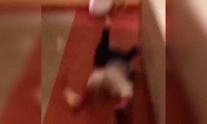 বেচারি বাচ্চাটির জন্য খুব খারাপ লাগছে