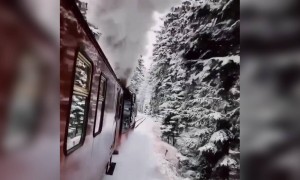 ঠান্ডার দিনে জার্মানিতে ট্রেনে চড়লে পুরো হ্যারি পটারের ট্রেন মনে হয়