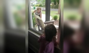 সোশ্যাল ডিস্টেন্সিঙ চলছে, তাও দিদা নাতনির সাথে কিভাবে দেখা করলেন দেখুন