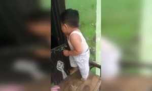 বাচ্চার মজাদার নাচ দেখুন