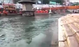 লকডাউনে সব বন্ধ, তাই কত পরিষ্কার গঙ্গার জল দেখুন