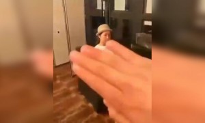 এখানে খুব ভালো এক্টিং করেছে