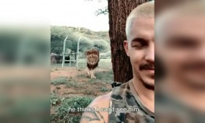 আমি এক সেকেন্ডের জন্য ভেবেছিলাম সিংহটা লোকটাকে খেয়ে ফেলবে