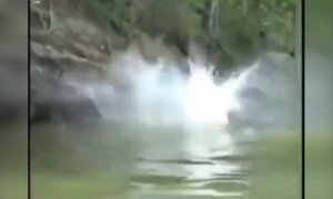 আপনার কোন বন্ধু আপনাকে কুমির থেকে বাঁচানোর জন্য এটা করবে?