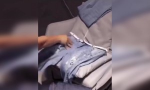 জিন্স নিয়ে এতো সুন্দর আর্ট দেখেছেন?