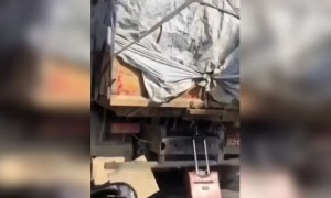 এভাবে লোকে লাগেজ নিয়ে যায় জানতাম না