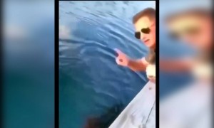 বিনা কারণে মাছকে বিরক্ত করতে নেই, নাহলে এই হবে