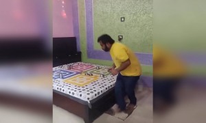 লোকেরা আজকাল লুডো খেলাটা খুব সিরিয়াসলি নিচ্ছে