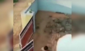 প্রেম করার সময় আগে মেয়ের বাবা মারতো, এখন আবার নতুন প্রব্লেম